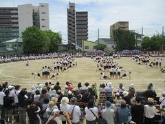 IMG_1145.jpg