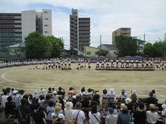 IMG_1153.jpg