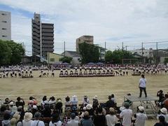 IMG_1157.jpg