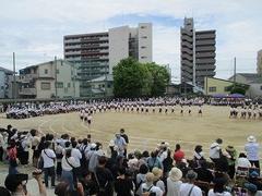 IMG_1159.jpg