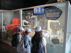 IMG_5247.jpg