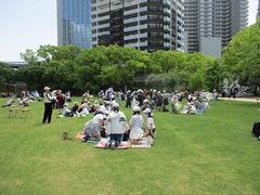 IMG_5253.jpg