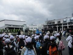 IMG_5260.jpg