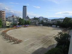 IMG_5285.jpg