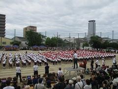 IMG_5287.jpg