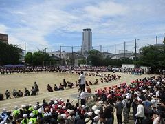 IMG_5323.jpg
