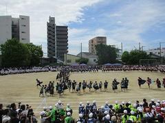 IMG_5324.jpg