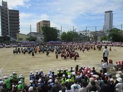 IMG_5325.jpg