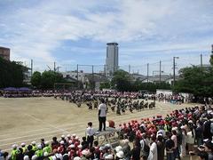 IMG_5332.jpg