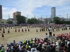 IMG_5335.jpg