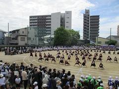 IMG_5337.jpg