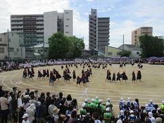 IMG_5347.jpg