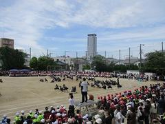 IMG_5348.jpg