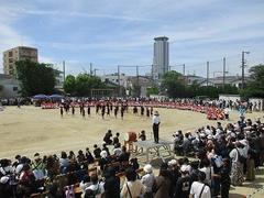 IMG_5354.jpg