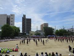 IMG_5359.jpg