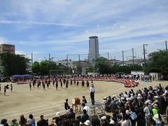 IMG_5363.jpg