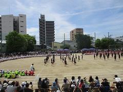 IMG_5364.jpg