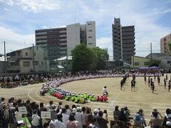 IMG_5365.jpg