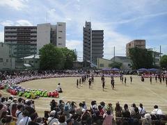 IMG_5373.jpg