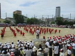 IMG_5382.jpg