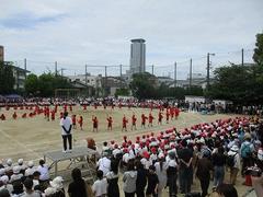 IMG_5383.jpg