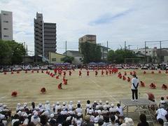 IMG_5384.jpg