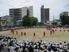 IMG_5385.jpg