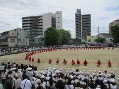 IMG_5405.jpg