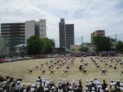 IMG_5409.jpg