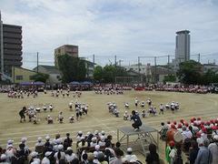 IMG_5414.jpg