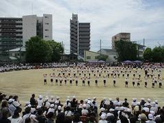 IMG_5416.jpg