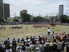 IMG_5446.jpg