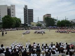 IMG_5452.jpg