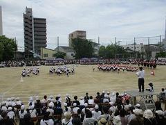 IMG_5453.jpg
