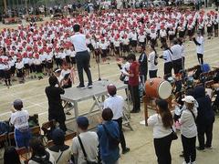 IMG_5462.jpg