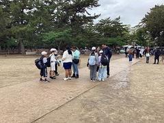 IMG_7041.jpg