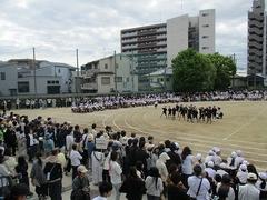 IMG_0995.jpg
