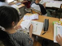 IMG_0933.jpg