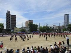 IMG_5369.jpg