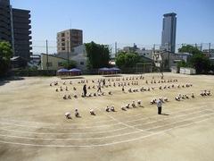 IMG_0911.jpg