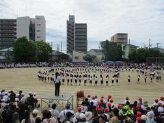 IMG_5297.jpg