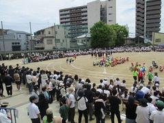 IMG_1079.jpg
