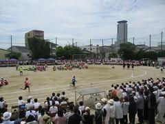 IMG_1077.jpg