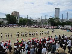 IMG_5294.jpg