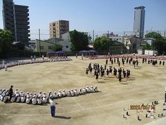 IMG_0903.jpg