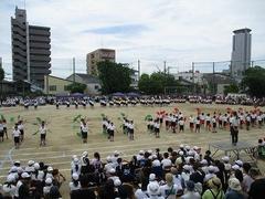 IMG_1065.jpg