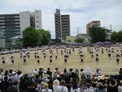 IMG_1131.jpg