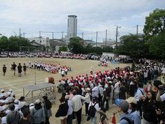 IMG_1016.jpg