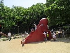 IMG_0822.jpg