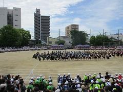 IMG_5317.jpg